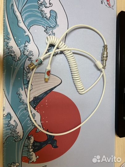 XVX Coral Sea набор