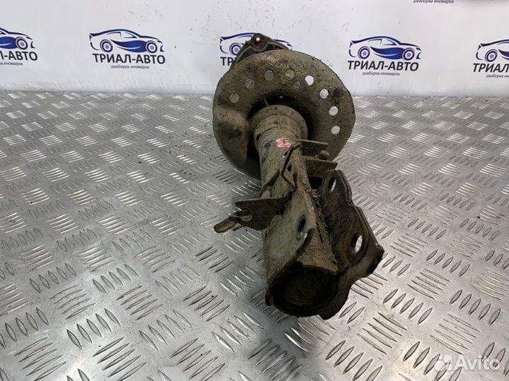 Амортизатор Передний Левый Дорест X-Trail T31 2010