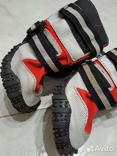 Ботинки для большой собаки