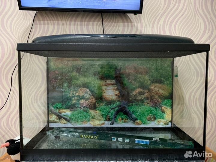 Аквариум