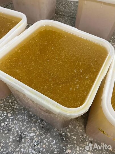 Мед Донник качка 2023 год