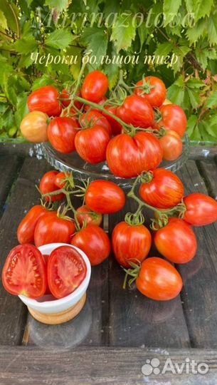 Семена томатных гномов. Dwarf Tomato Project