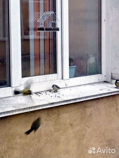 Кормушка для птиц на окно