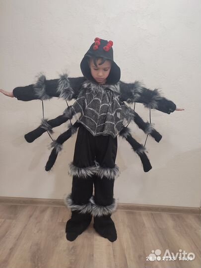 Костюм Паука, Скелет, Ворон, Дракула на Хэллоуин