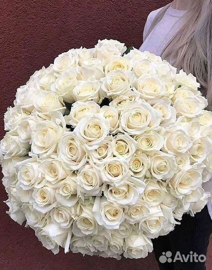 101 Роза Цветы Букеты 51 25 Роз Доставка