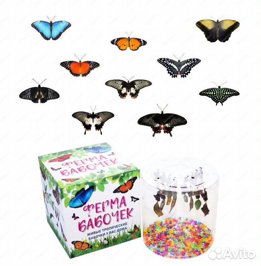 Детская миниферма Живых Тропических Бабочек д/ф-2