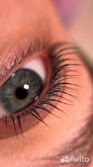 Обучение ламинированию ресниц, бровист