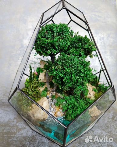 Флорариум Моссариум Подарки Цветы Композиция