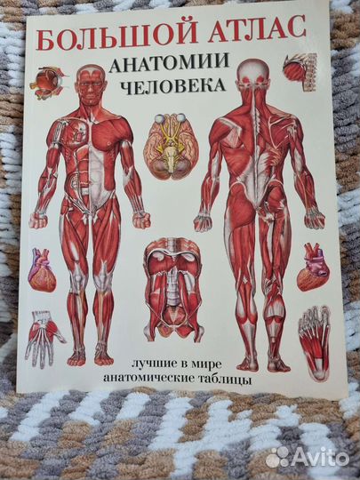 Большой атлас анатомии человека