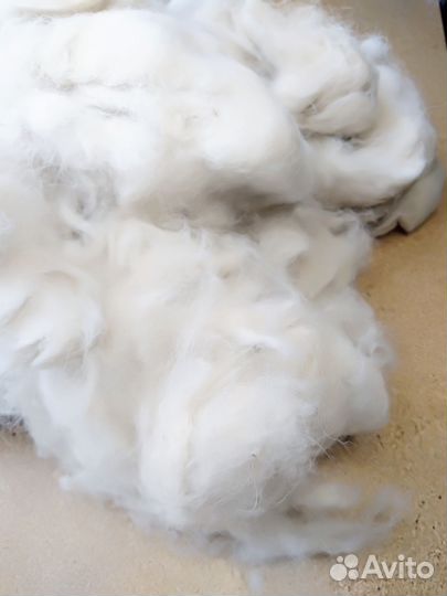 Шерсть собачья