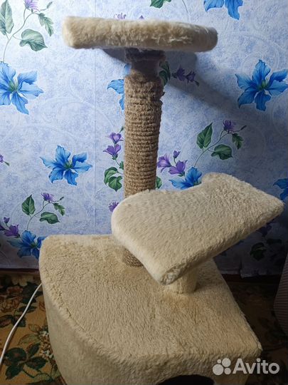 Когтеточка