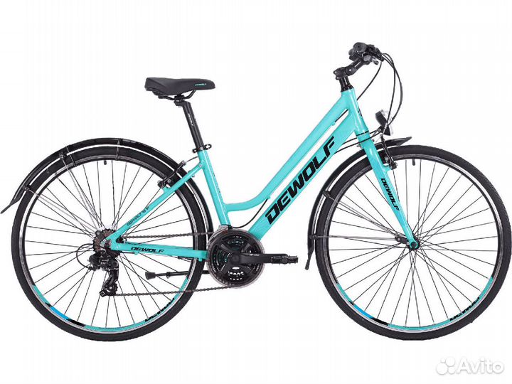 Dewolf Asphalt 10 W 2021