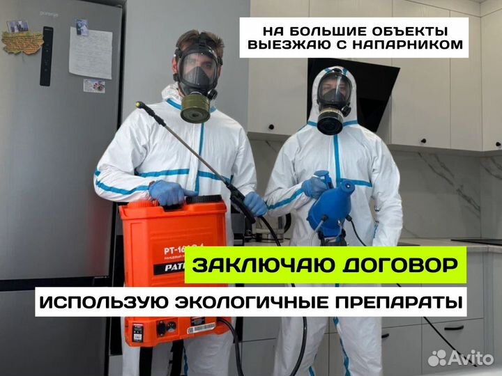 Уничтожение тараканов Дезинфекция