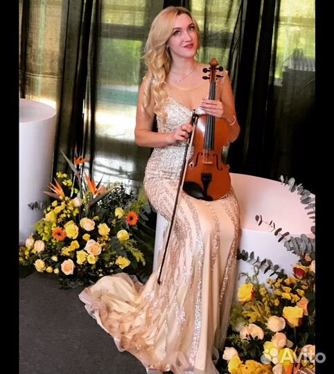 Живая музыка Кемерово.Скрипка.Альт