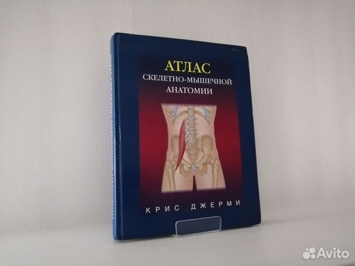 Атлас скелетно-мышечной анатомии / К. Джерми