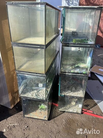 Аквариум для рыб