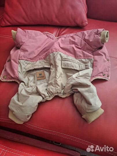 Одежда для собак мелких пород