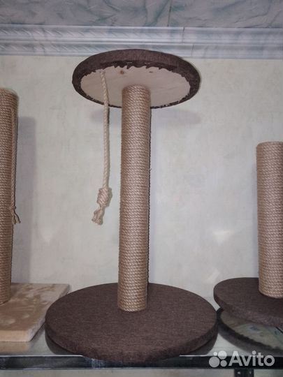 Когтеточка для кошек новая