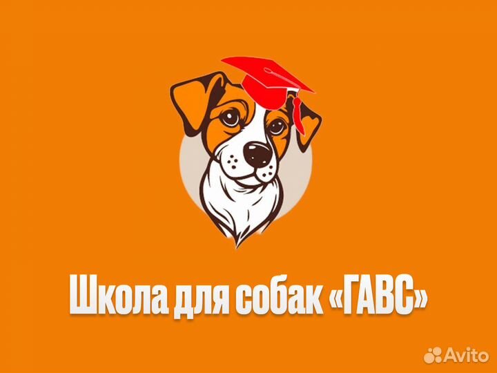 Кинолог / обучение собак