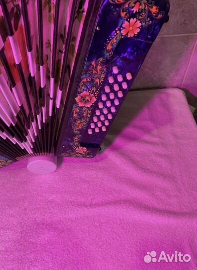 Современная Гармонь Чайка с Регистром Звонкая