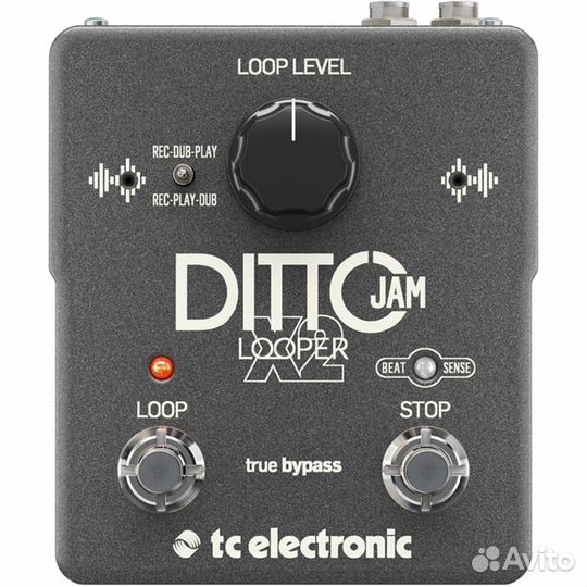 Лупер TC electronic ditto JAM X2 looper