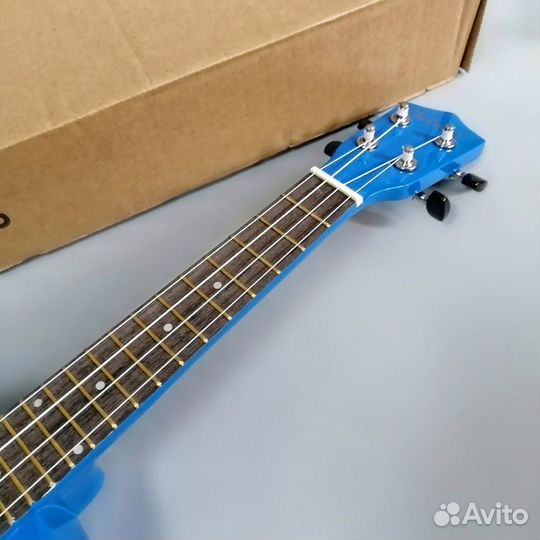 Укулеле новая концерт