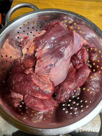 Мясо для собак