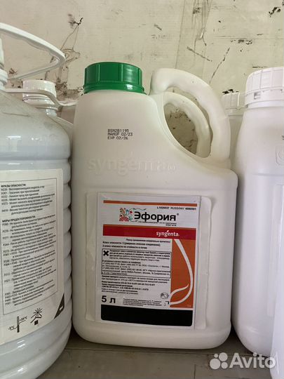 Эфория инсектицид