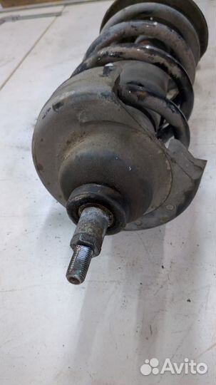 Амортизатор подвески левый передний Opel Vivaro, 2015