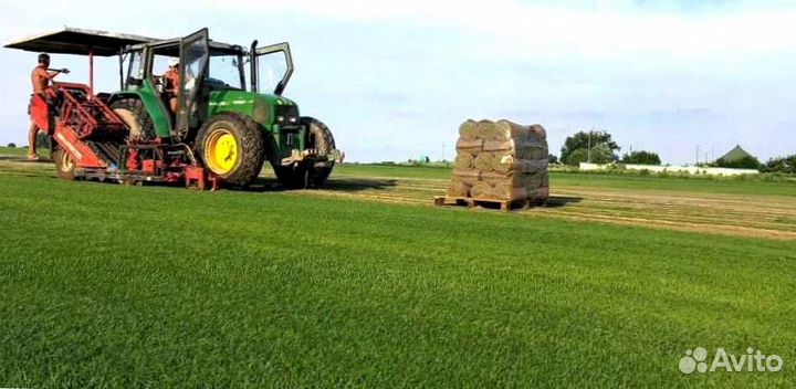 Газон. Рулонный газон