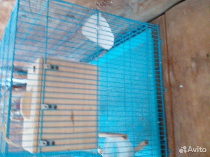 Клетка для птиц