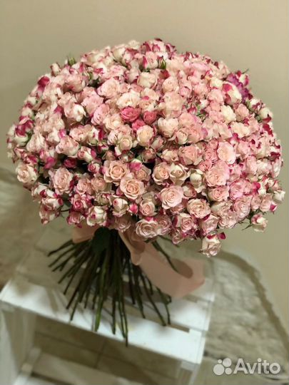 Кустовые розы