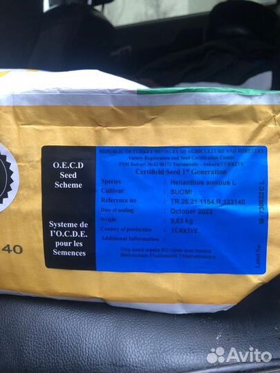 Семена подсолнечника Сингента Суоми
