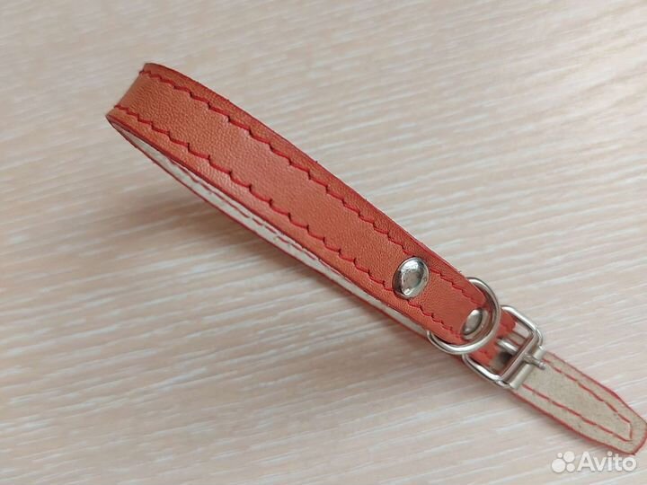 Поводок и ошейник для собак