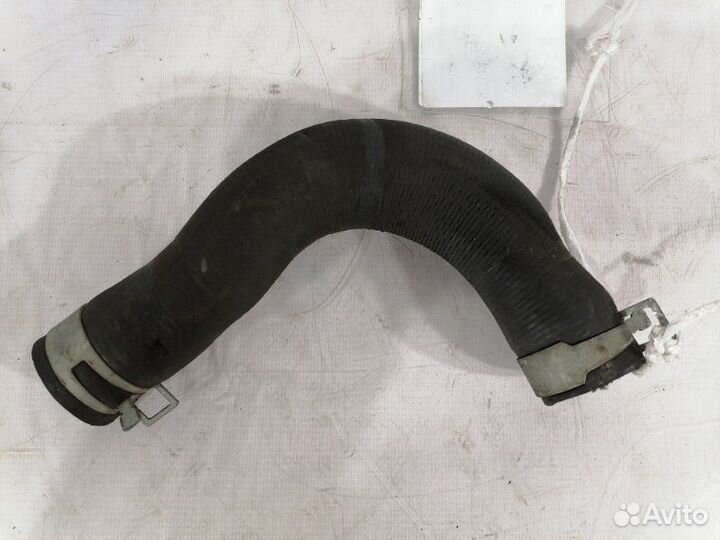 Патрубок системы охлаждения верхняя Subaru Legacy