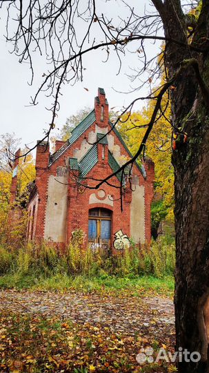 Индивидуальные экскурсии, гид, трансфер