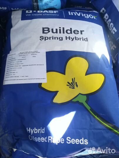 Семена гибридов рапса Видер кл, Билдер