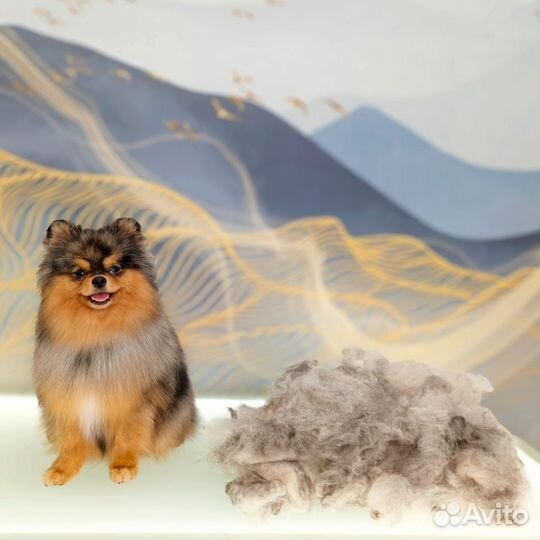 Груминг собак/ стрижка собак/ грумер