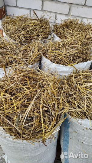 Солома и сено для собак в мешках