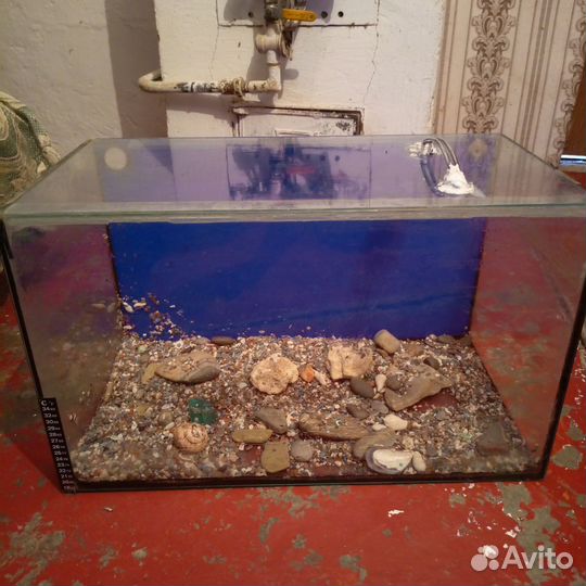 Аквариум
