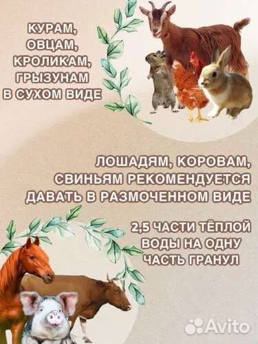 Люцерна гранулированная корм грызуны,с/х жив,лошад