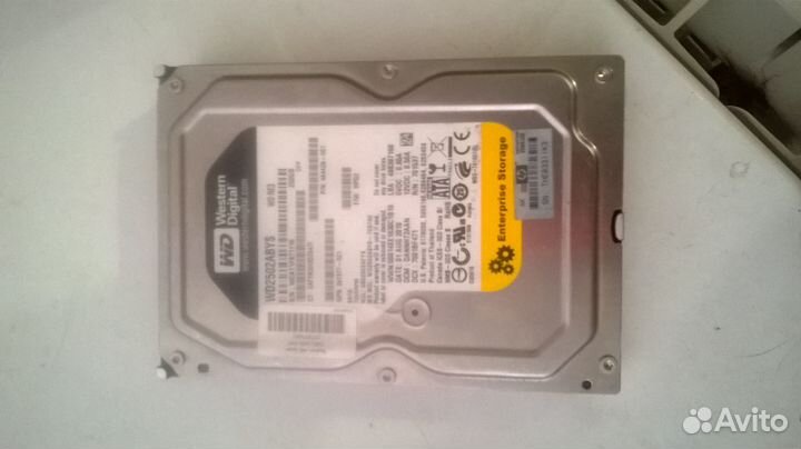 Жёсткий диск 250 Гб для пк western gigital