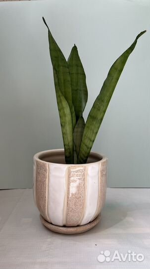 Керамический горшок, ручная работа