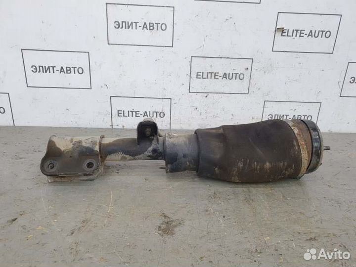 Пневмоамортизатор подвески передний левый Land