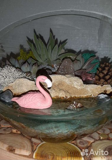 Флорариумы