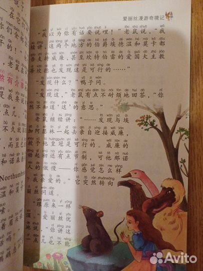 Алиса в стране чудес на китайском