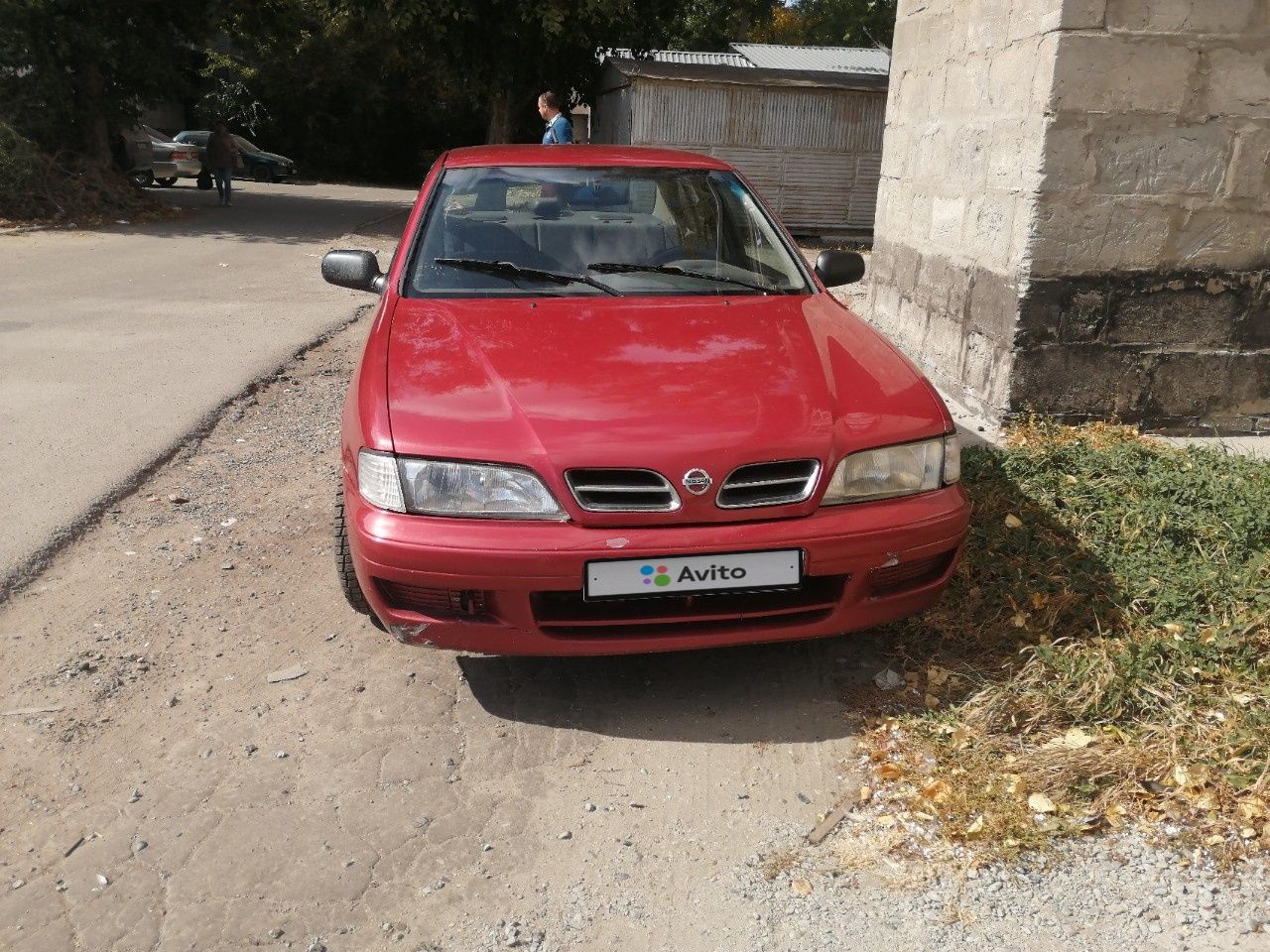 Nissan Primera: фото владельца