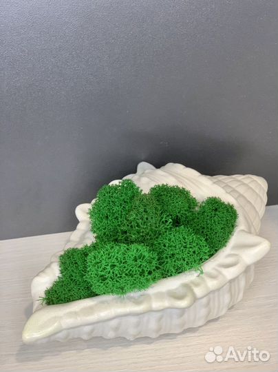 Кашпо со мхом