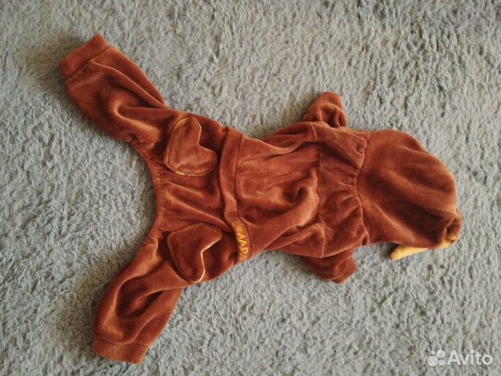 Костюм для собаки