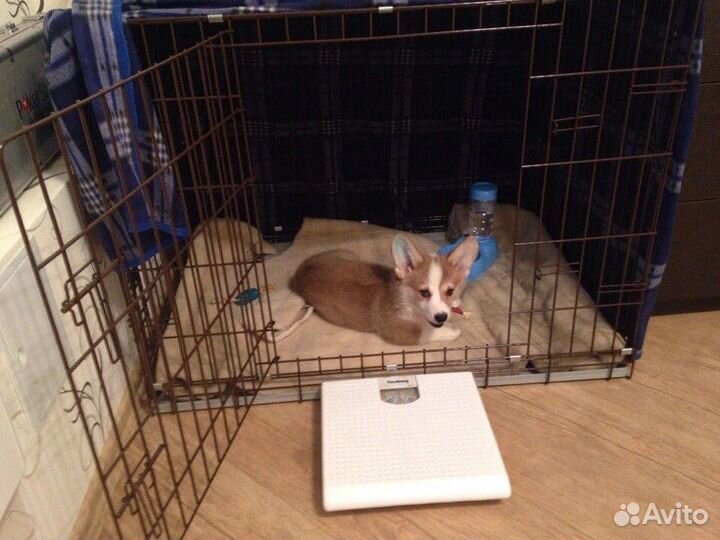 Клетка № 6 2 двери